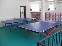 专业乒乓球室地胶，乒乓球pvc地板