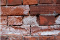 外墙砖泛碱怎么处理和预防