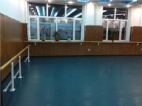 北京舞蹈地板厂家供应 舞台地板 幼儿园地板