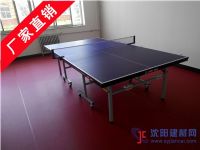 乒乓球场地板 北京世纪耐德乒乓球地板