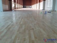 供应欧氏体育木地板安装,体育木地板施工
