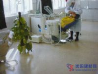 医院净化室ICU专用抗菌防滑耐磨PVC朔胶卷材地板
